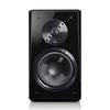 SVS Ultra BookShelf Speakers - Jamsticks